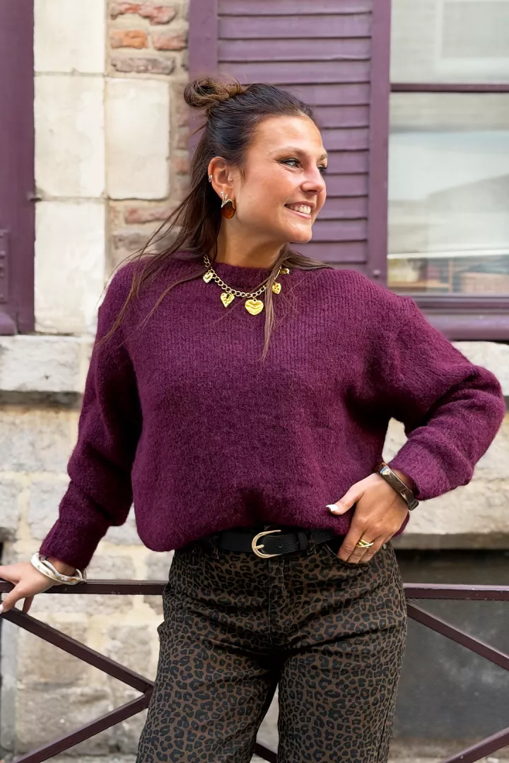 Pull Zaho Bordeaux