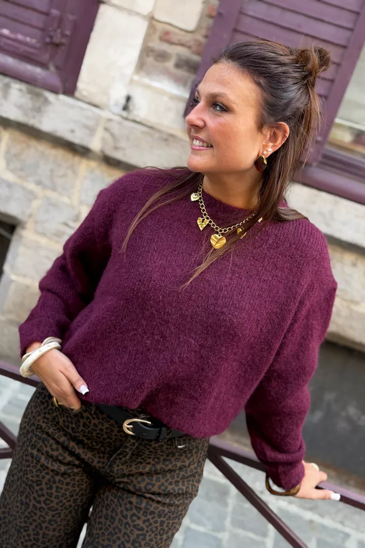 Pull Zaho Bordeaux