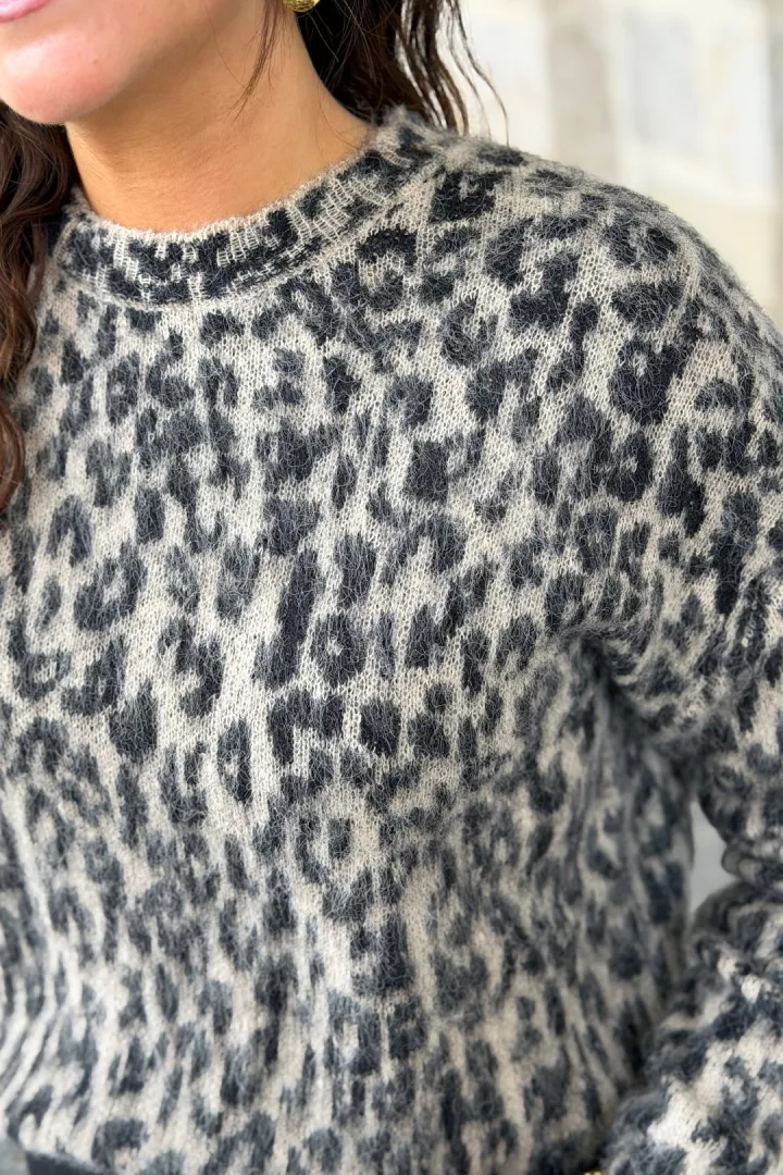 Pull Rosie Camel