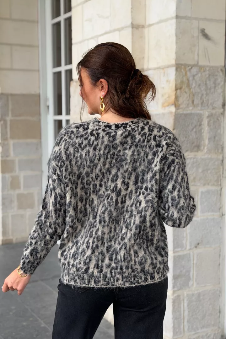 Pull Rosie Camel